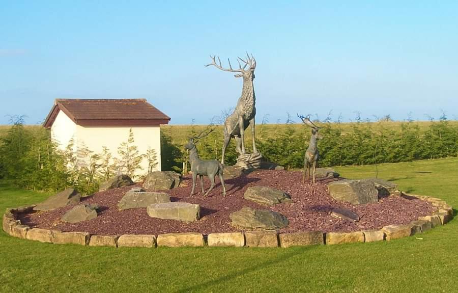 Apple Tree Lodge Hot Tub 3 Bedroom 2 Bars Morpeth Exteriör bild